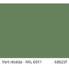 Coloris Vert Reseda RAL6011