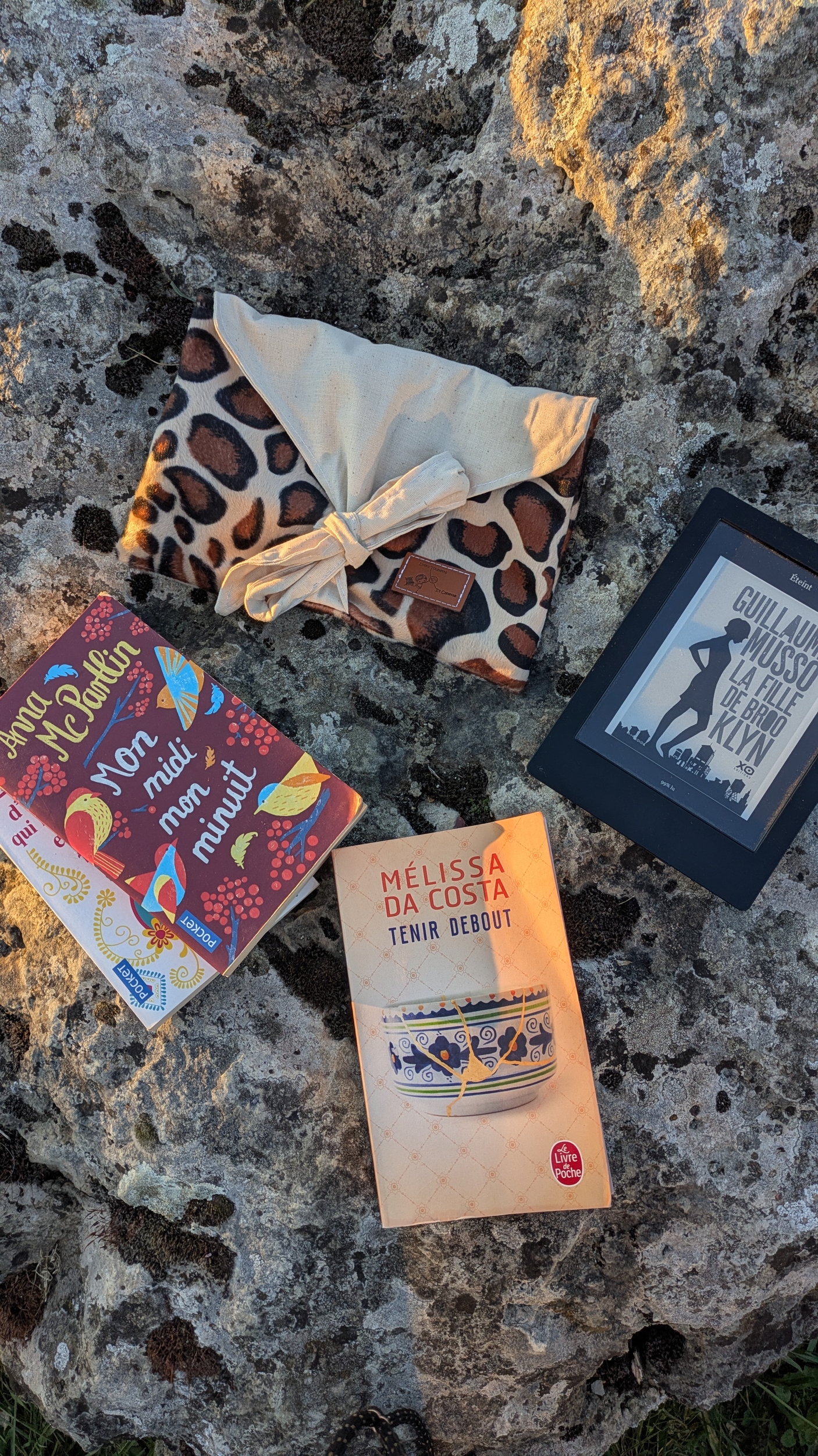 Pochette à livre