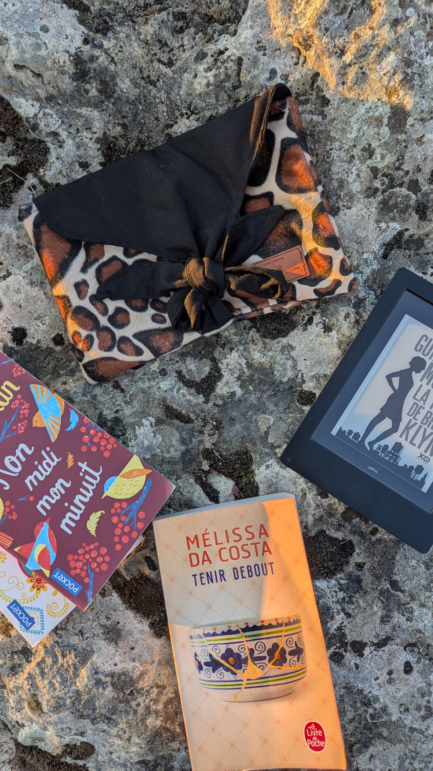 Pochette à livre