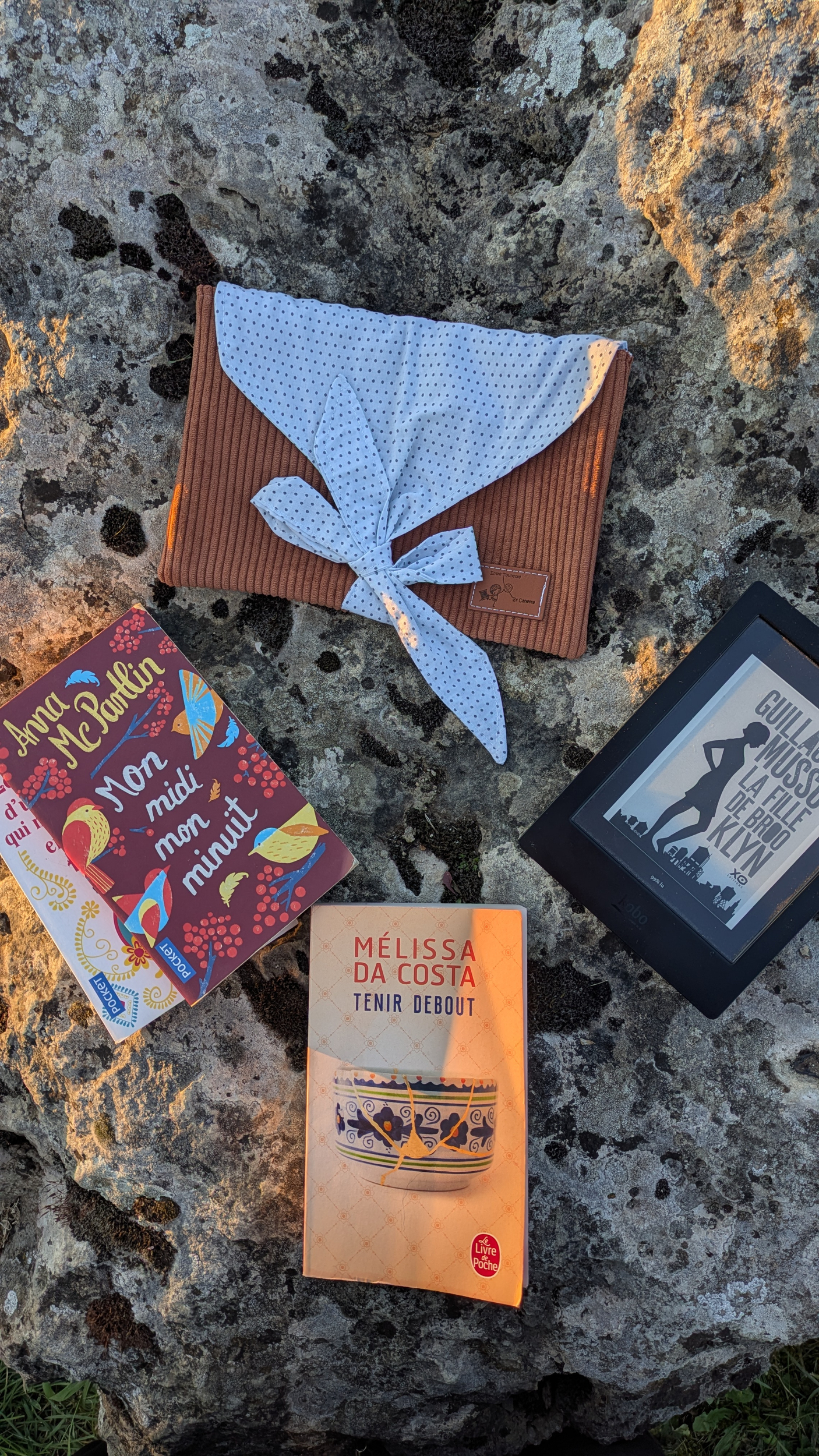 Pochette à livre