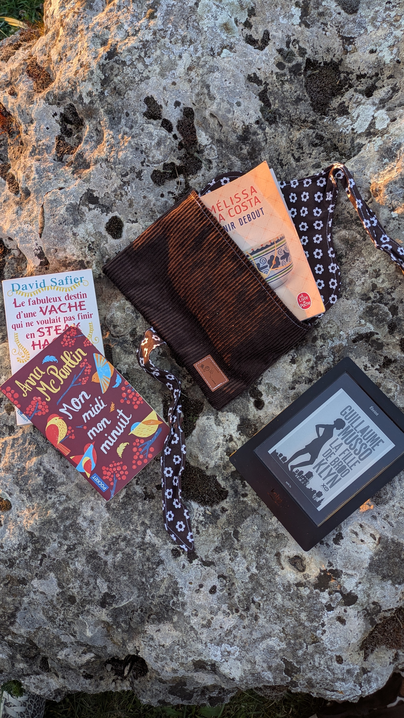 Pochette à livre