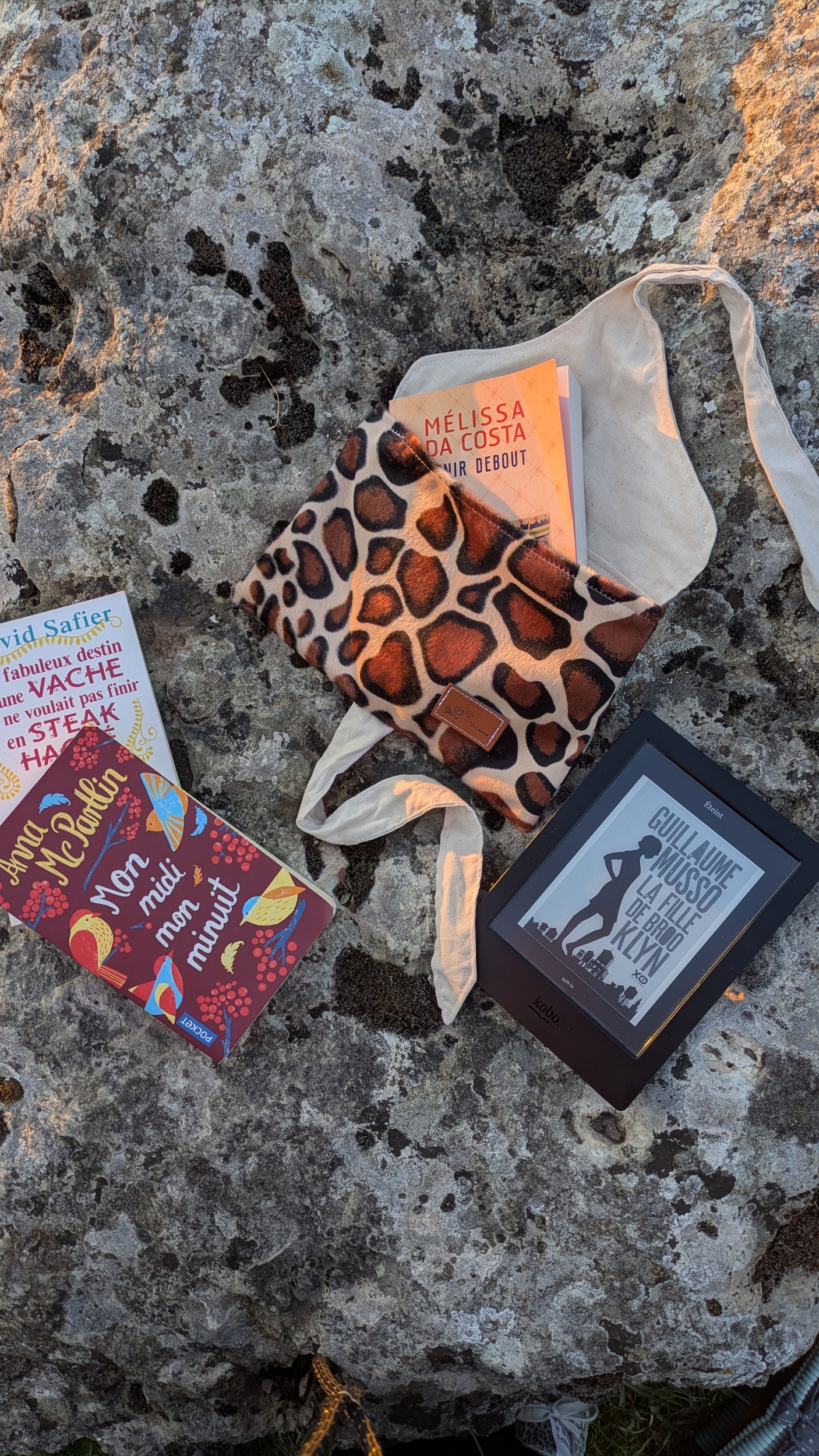 Pochette à livre
