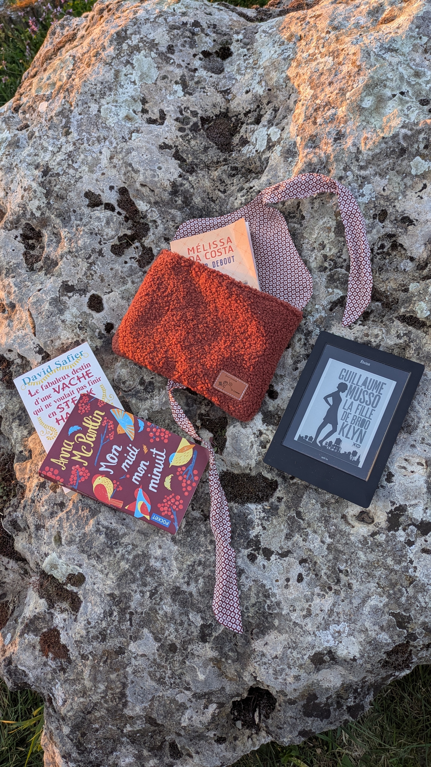 Pochette à livre