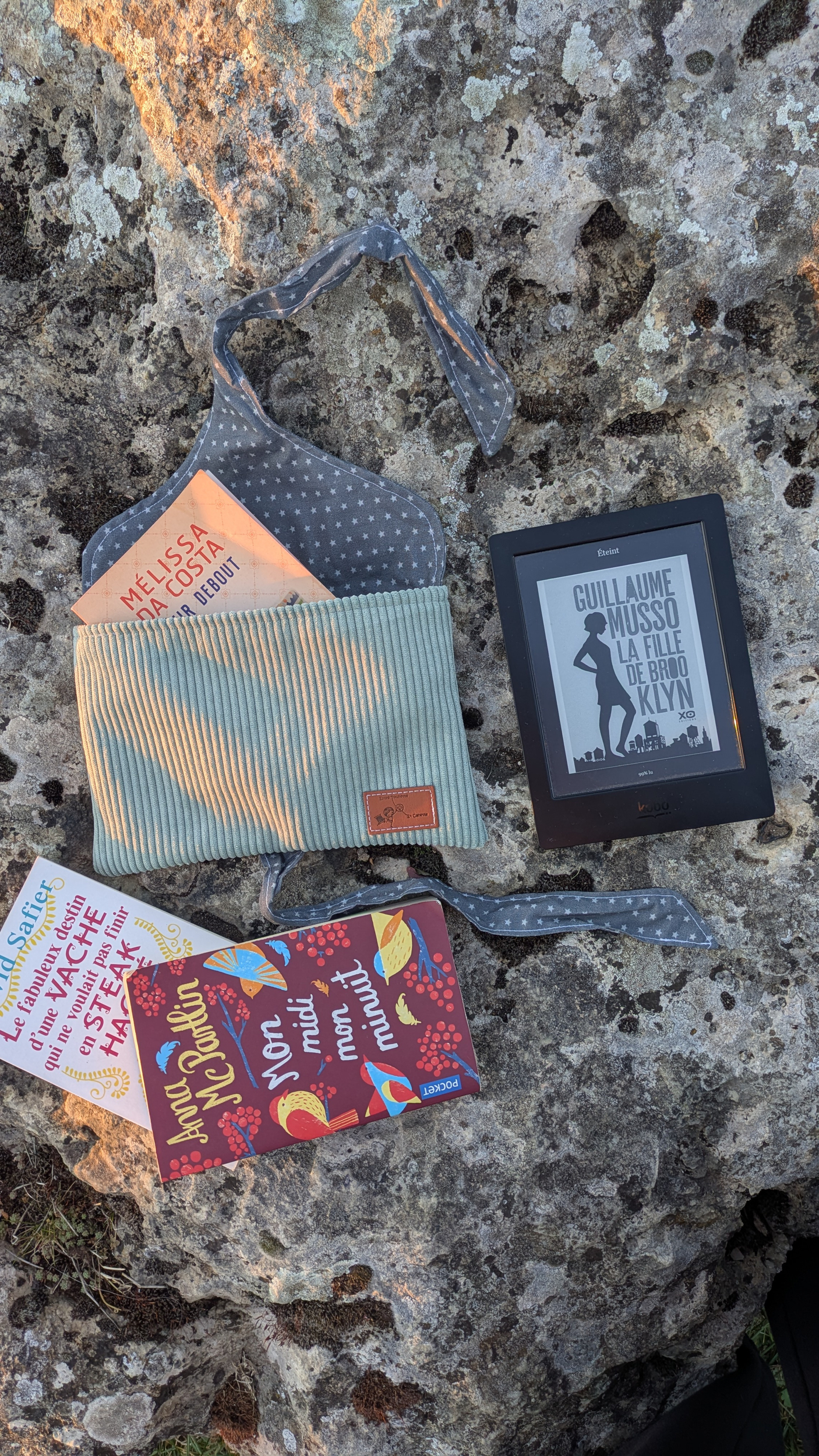 Pochette à livre