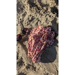 bandeau