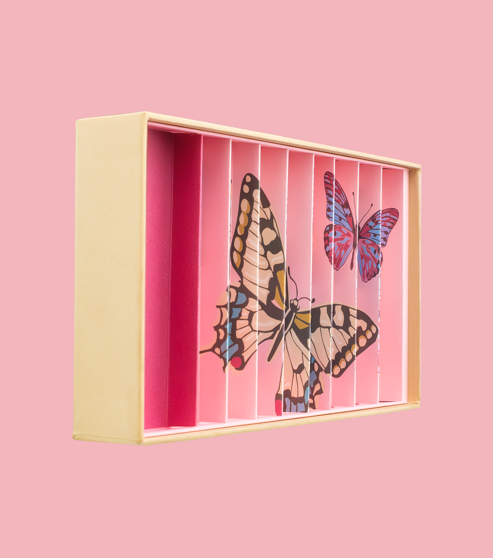 BOX-PAPILLONS-ANAMORPHIQUE-VIDE-L