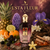 Volaré Esta Fleur eau de parfum visuel premium avec ananas agrumes mûre fleurs iris oud vanille