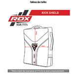 shield-bouclier-rdx-aura