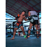 boxe-thai