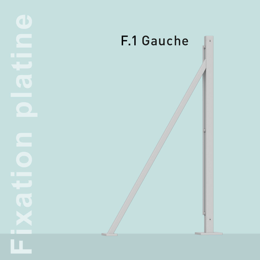 Poteau-extremite-Gauche-platine-F1