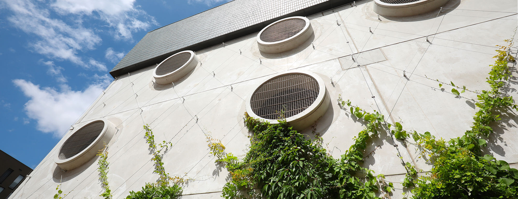 Systeme-vegetalisation-greencable