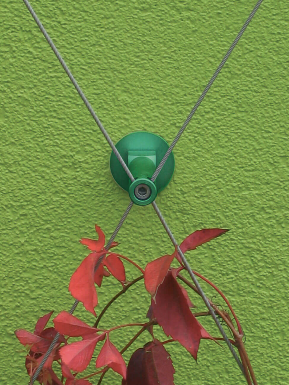 Vegetalisation-mur-cable-support-vert