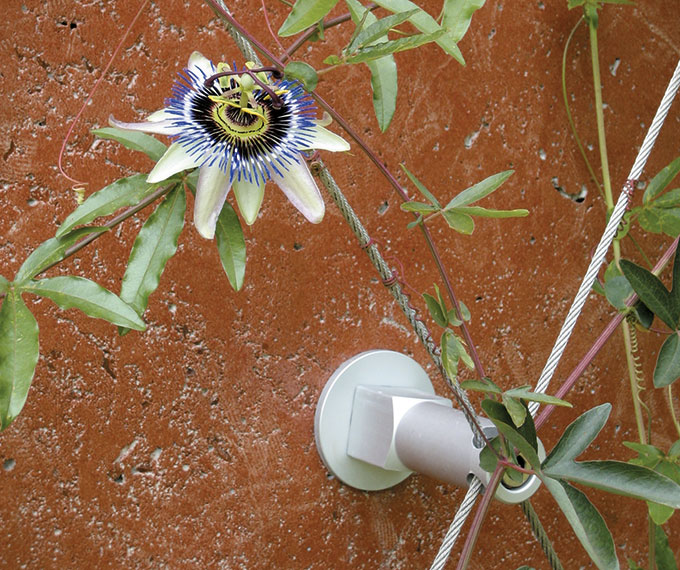 Mur végétal extérieur GREENCABLE