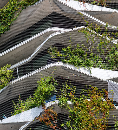 support vegetal facade batiment