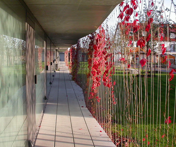 vegetalisation facade batiment