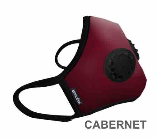 2017 Masque antipolltion vogmask FPP2 CABERNET