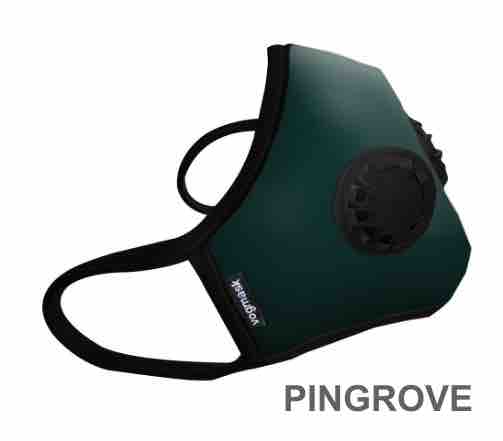 2017 Masque antipolltion vogmask  FFP2 PINGROVE