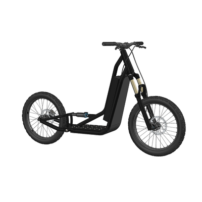 trotteur electrique adulte