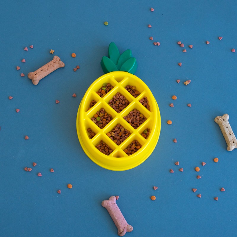 happy-bowl-pineapple (3)