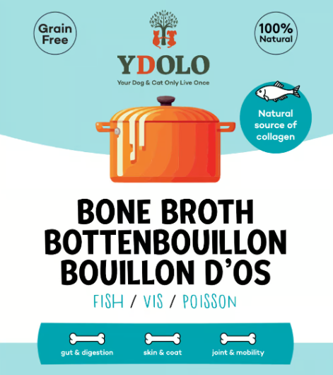 bouillon poisson