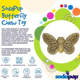 papillon sodapup