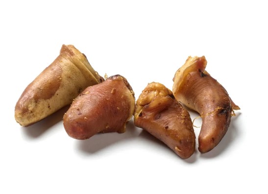 Queue de cochon