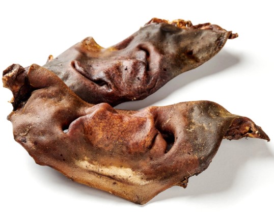 nez boeuf KP