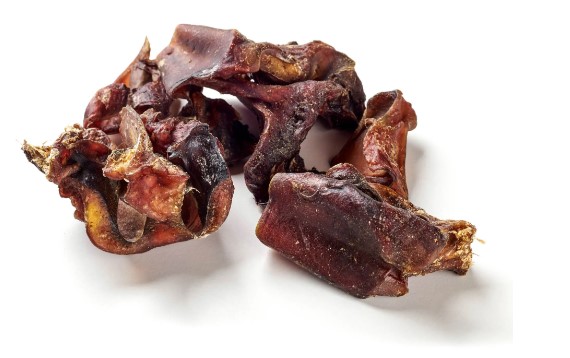 cartilage nasal boeuf