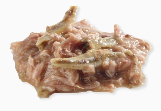 thon  anchois2