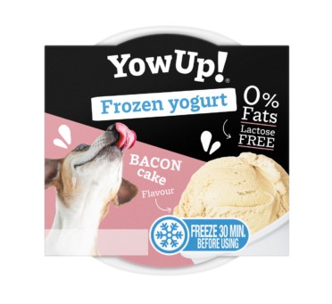 yaourt glacé bacon