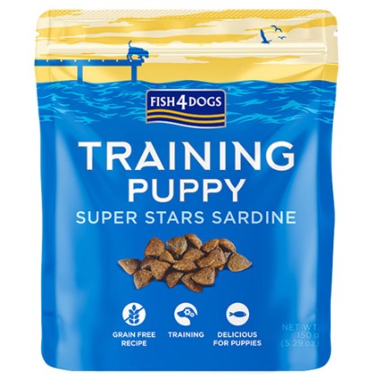 training puppy