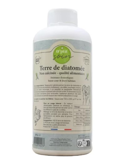 diatomée
