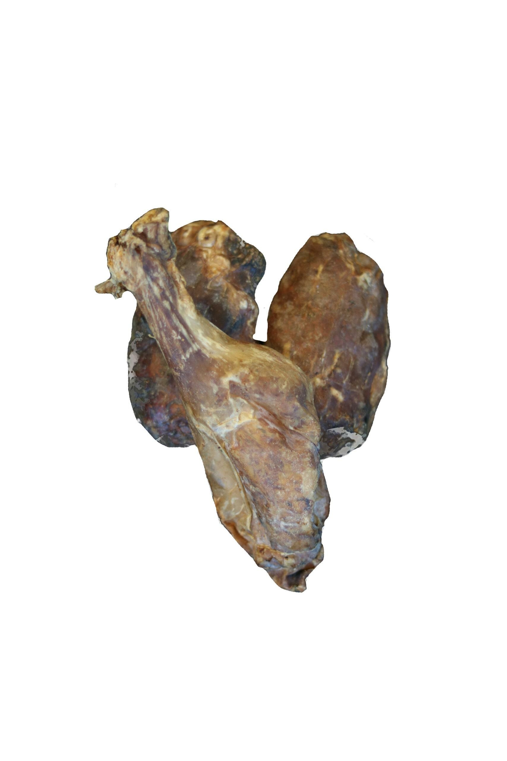 testicules boeuf