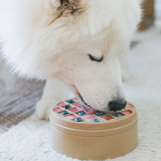 bento2