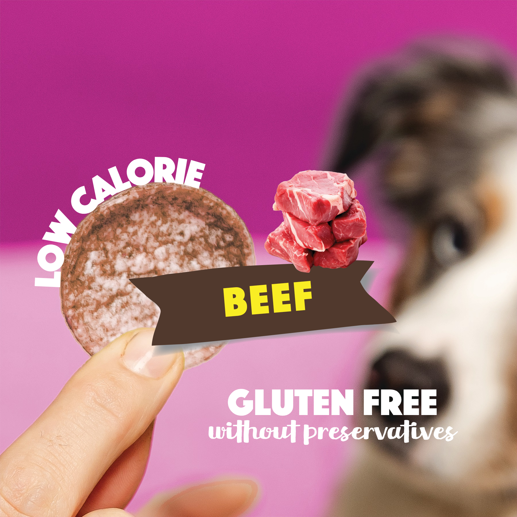 S7040_Dog-Chips_Beef_EN_02