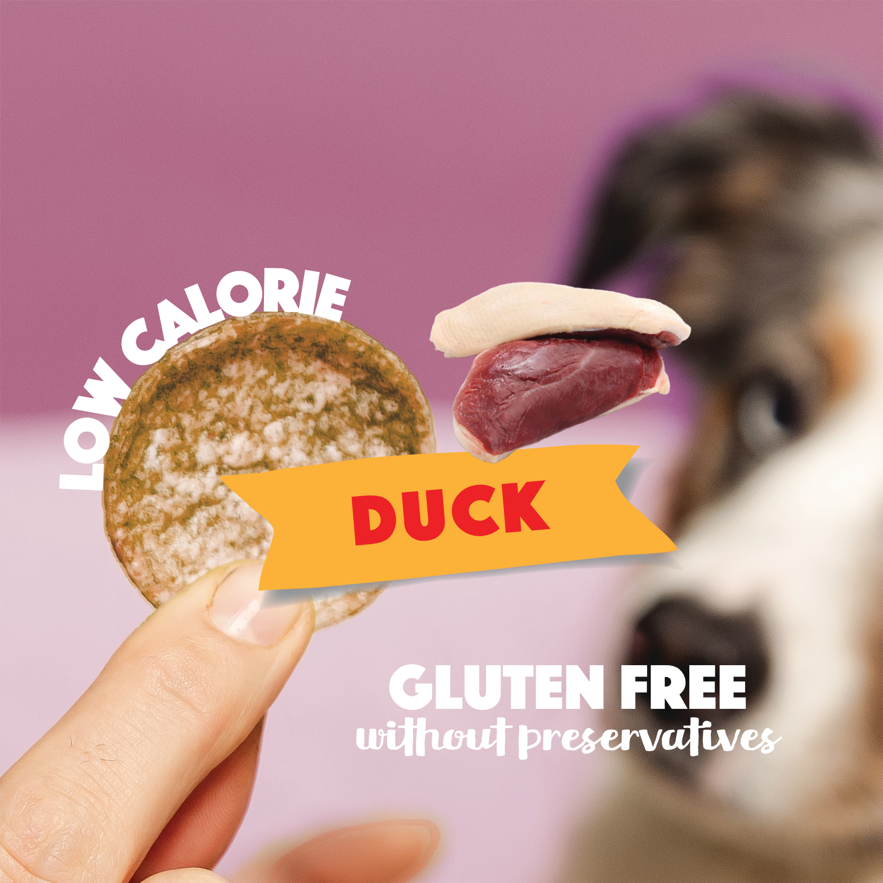 S7080_Dog-chips_Duck_EN_02