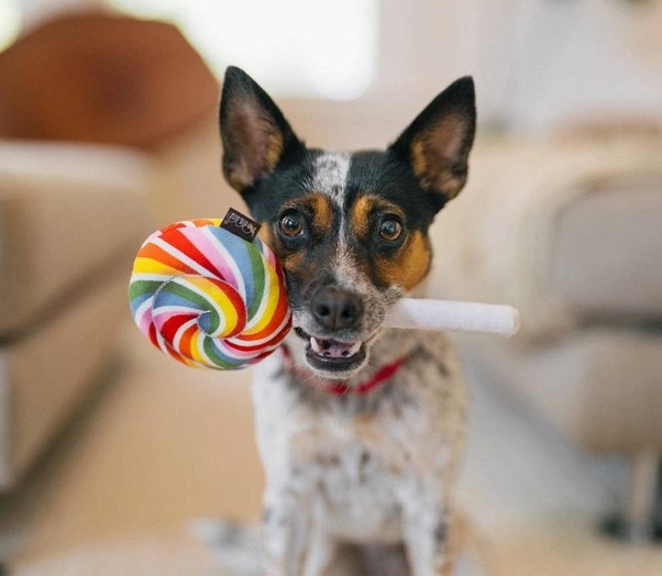 lollipop2