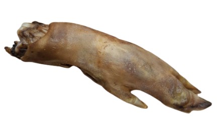 pied de anglier