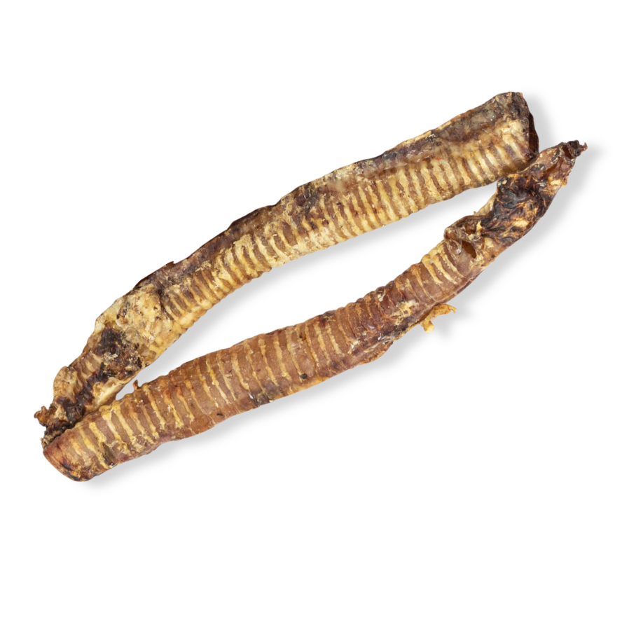 TRACHEE BOEUF XXL