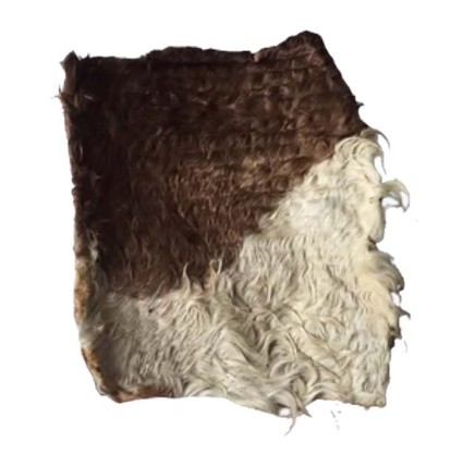 plaque peau boeuf AP 40