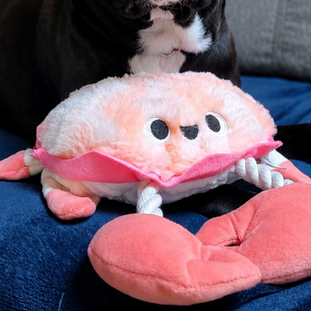 peluche crabe