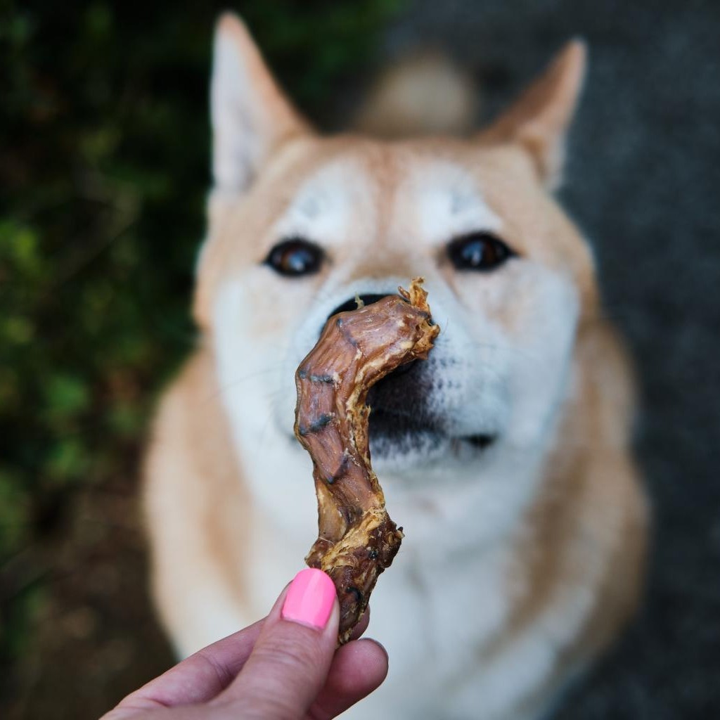 cou de poulet