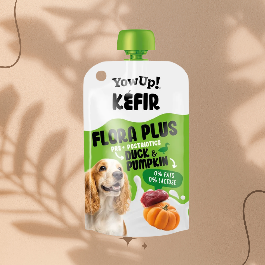 kefir yowup