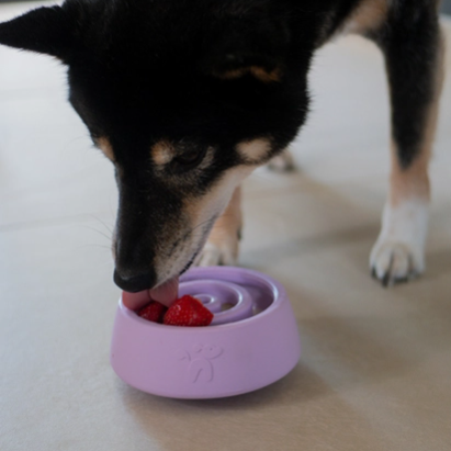 wobble4