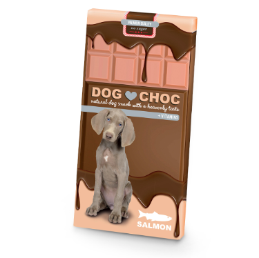 dog choc saumon