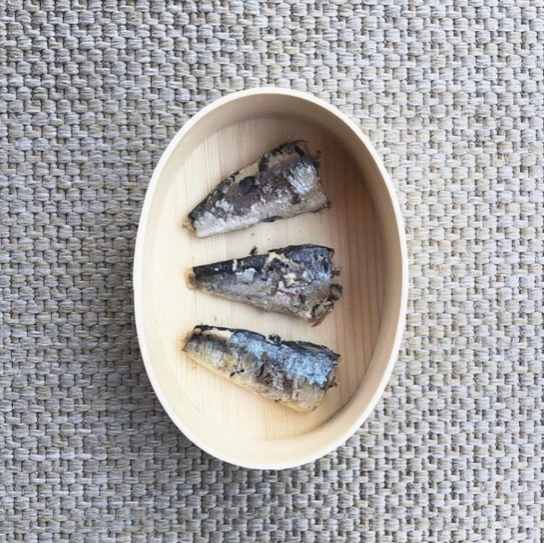 canumi sardine4
