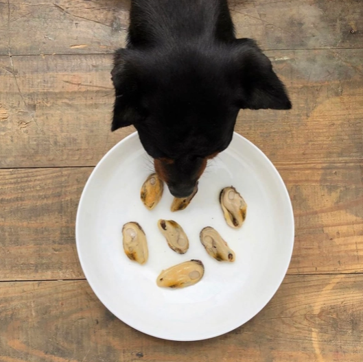 moules levres 3