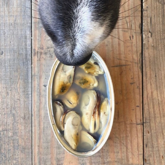 moules levres4