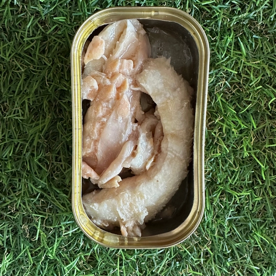 saumon 3