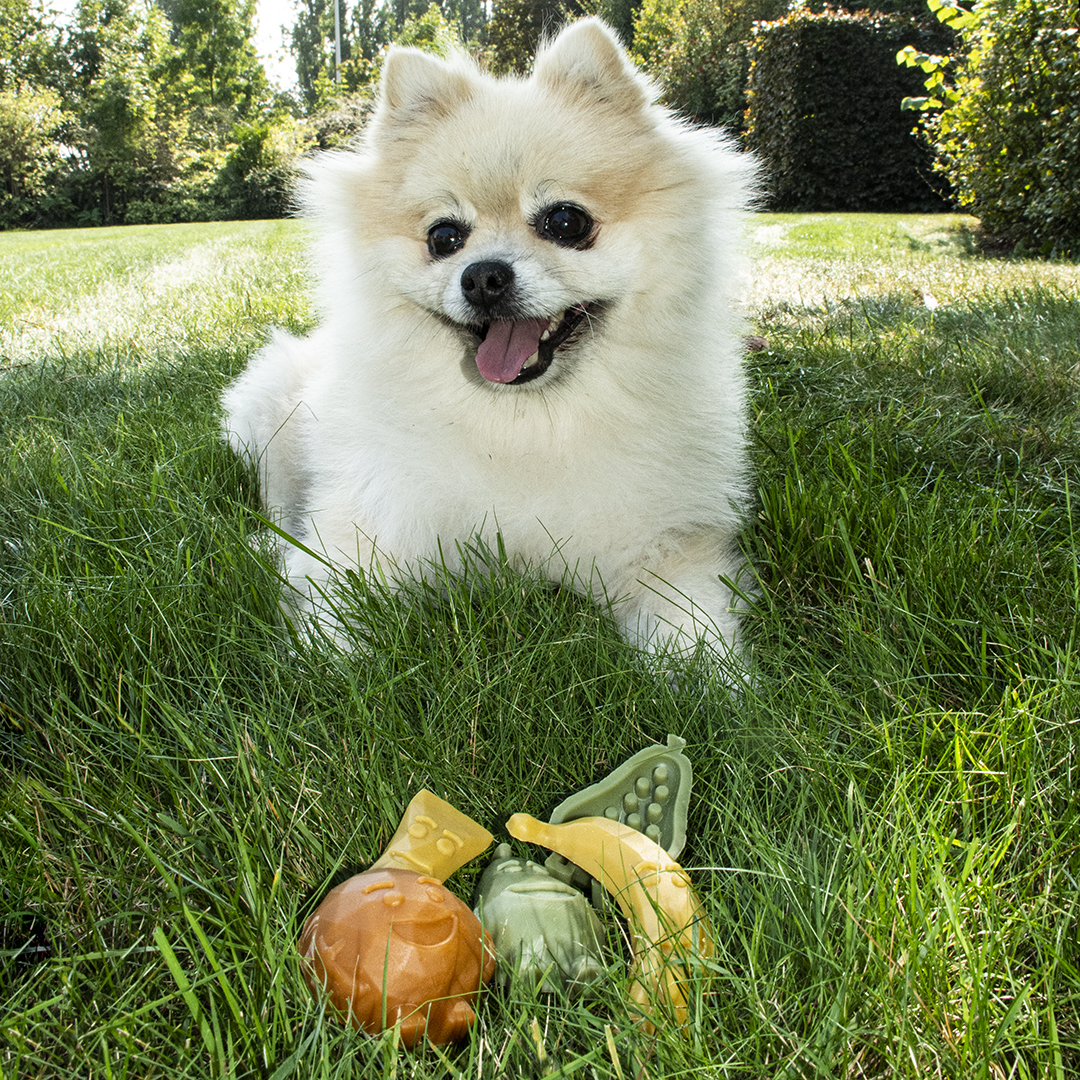 garden bites fruity 3